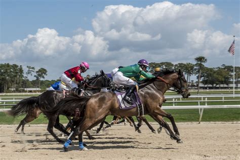 tampa bay downs bookies|Full Result 9.12 Tampa Bay Downs (USA) .